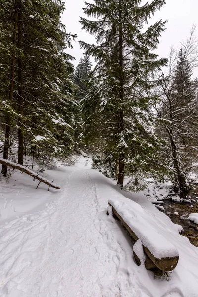 Eslovaquia parque nacional Mala Fatra, Janosikove diery, camino en el bosque, nieve e invierno . — Foto de Stock