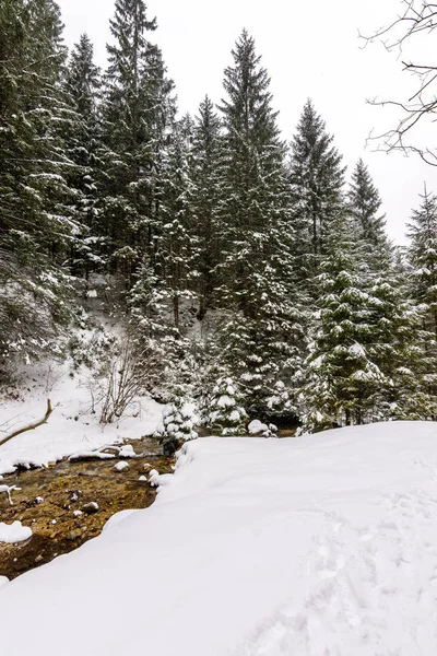 Eslovaquia parque nacional Mala Fatra, Janosikove diery, camino en el bosque, nieve e invierno . — Foto de Stock