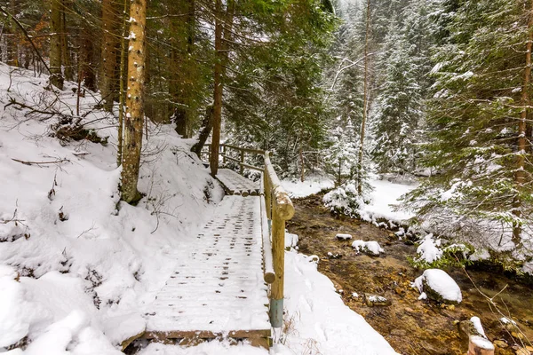 Eslovaquia parque nacional Mala Fatra, Janosikove diery, camino en el bosque, nieve e invierno . — Foto de Stock