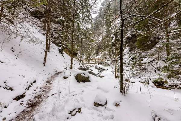 Eslovaquia parque nacional Mala Fatra, Janosikove diery, camino en el bosque, nieve e invierno . — Foto de Stock