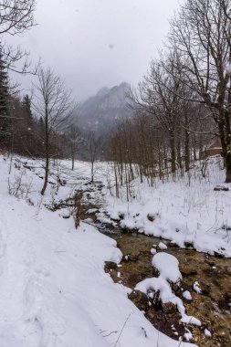 Slovakya Milli Parkı Mala Fatra, Janosikove diery, Terchova köyü. Frost, yollarında kış. Yürüyüş ve Slovakya, Orta Avrupa'da turizm.