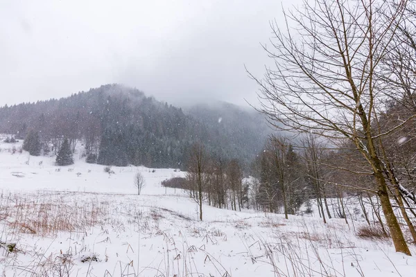 Parque Nacional Eslovaquia Mala Fatra Janosikove Diery Terchova Pueblo Caminos — Foto de Stock