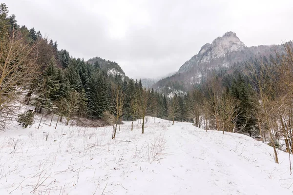 スロバキア国立公園マラ Fatra Janosikove Diery Terchova 冬の霜にパス ハイキングや中央ヨーロッパ スロバキアの観光事業 — ストック写真
