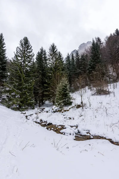 Parque Nacional Eslovaquia Mala Fatra Janosikove Diery Terchova Pueblo Caminos — Foto de Stock