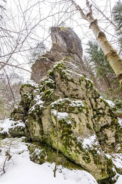 Slovakien Nationalpark Mala Fatra Janosikove Diery Terchova Village Stigar Frosten — Stockfoto