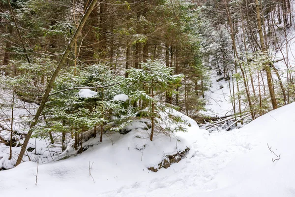 Parque Nacional Eslovaquia Mala Fatra Janosikove Diery Terchova Pueblo Caminos — Foto de Stock