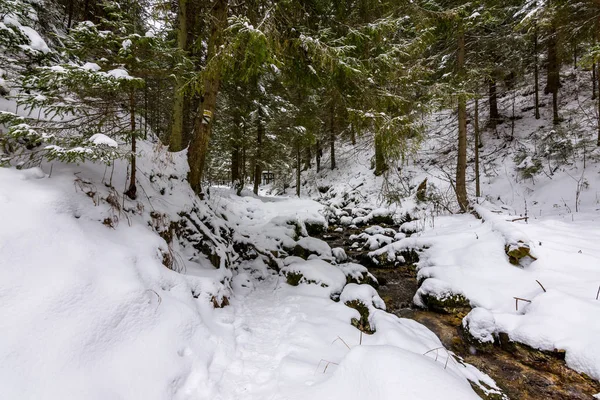 Parque Nacional Eslovaquia Mala Fatra Janosikove Diery Terchova Pueblo Caminos — Foto de Stock