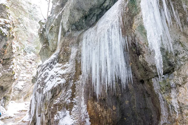 슬로바키아 국립 공원 Mala Fatra, Janosikove diery, Terchova-겨울에 야외 공원, 눈, 관광 및 하이킹 경로 — 스톡 사진
