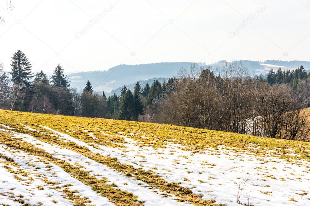 Landscape of agriculture field and meadow. Preparation for spring. Trees near the road, blue sky.