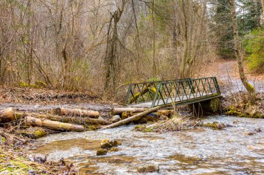 Ormandaki küçük nehir üzerinde demir köprü. Bahar renkleri, bitkiler karınca ölü gövdeleri büyüyen.