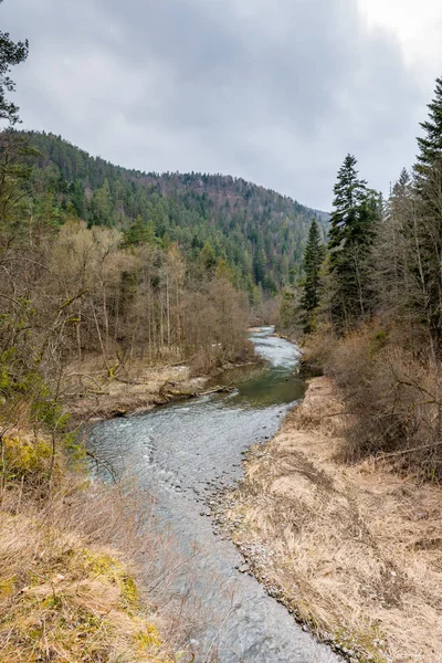 Slowakisches Paradies: die Flussschlucht im slowakischen Nationalpark — Stockfoto