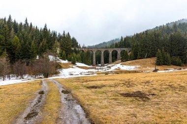 Slovakya orman ve dağlar viyadük tarihi Köprüsü tren. Tarihi demiryolu ve ulaşım. Çayır ile ön plan, karlı kış hava karda