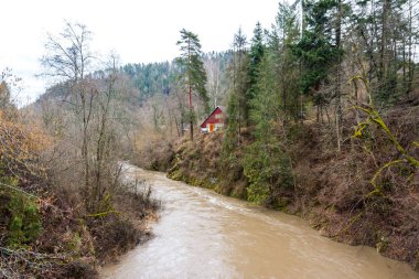 Çamur ormanda Slovakya Milli Parkı nehirde. Houset Nehri yakınında.