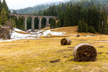 Slovakya orman ve dağlar viyadük tarihi Köprüsü tren. Tarihi demiryolu ve ulaşım. Çayır ile ön plan, karlı kış hava karda