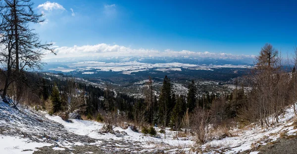 Eslovaquia: Vista del pequeño tatra (nizke tatry) desde el Strbske Pleso. Montañas panorámicas en lejano, árboles en primer plano. Hermosa mirada lejana . — Foto de Stock