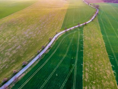 Güzel günbatımında tarım arazisinin havadan görünüşü. Uzaktaki küçük köylü tarlalar ve çayırlar. Sihirli alacakaranlıkta canlı yumuşak renkler. Asfalt yol tarlaların arasından geçiyor, yanında ağaç var..