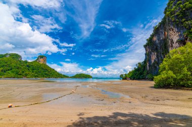 Doğu Railay sahilinin panoramik manzarası, Krabi kasabası, Tayland. Ağacın gölgesinden bak. Ön planda kum plajı ve arka planda dev kireçtaşı kayaları olan manzara. Yaz günü.