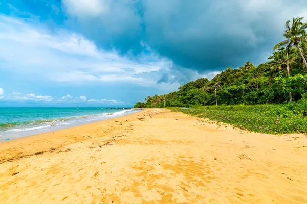 Playa Khlong Hin Isla Lanta Tailandia Hermosa Playa Con Flor —  Fotos de Stock