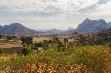 Güzel Afrika manzarası. Antik manastırın manzarası. Etiyopya, Tigray Bölgesi, Yeha