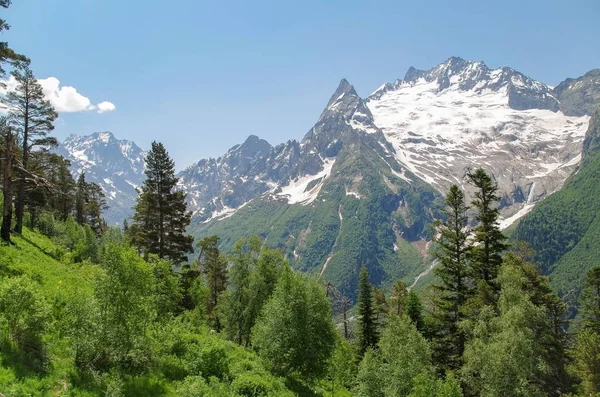 Dombay Vue Depuis Montagne Mussa Achitara Nature Voyages Russie Caucase — Photo