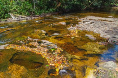Bin Lingas Vadisi. Yoni, Linga ve diğer rakamlar rakamlar nehir yatağı Kbal Spean kayaların oyulmuş. Hindular ve Budistler için kutsal bir yer. Kamboçya, çevre Angkor, Phnom Kultur Milli Parkı