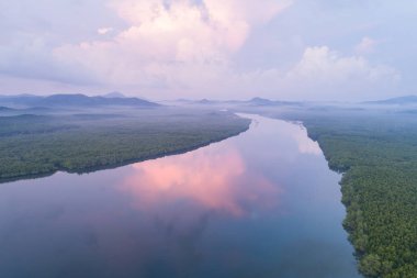 Mangrov orman ve nehir'Phang Nga Körfezi Tayland Güney.