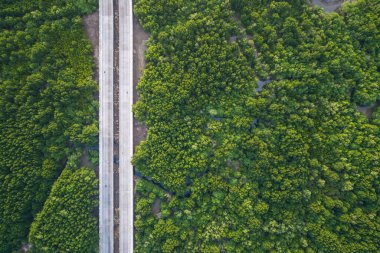 Üstten Görünüm yolu Phuket, Tayland için yeşil mangrov ormanın içinde. Uçak uçan üzerinden havadan görünümü