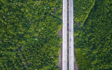 Üstten Görünüm yolu Phuket, Tayland için yeşil mangrov ormanın içinde. Uçak uçan üzerinden havadan görünümü