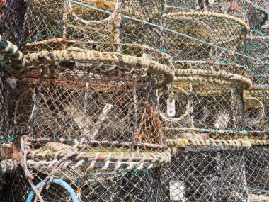 rák és homár edények