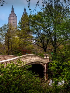 Bow Bridge - Central Park clipart