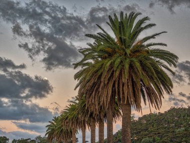 Whitianga ile gece düştü