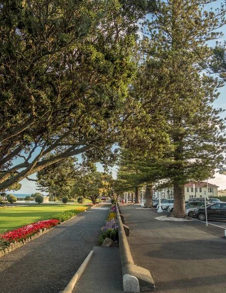 Summer Sidewalk — Stock Photo, Image