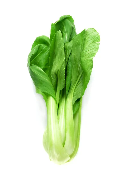 Beyaz arka plan üzerinde izole sebze yeşil pakchoi — Stok fotoğraf