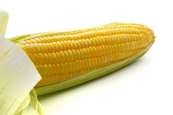 One on ear of corn isolated on a white background — Stock Photo, Image