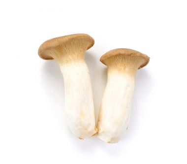 Beyaz arka planda Kral istiridye mantarı Pleurotus eryngii 