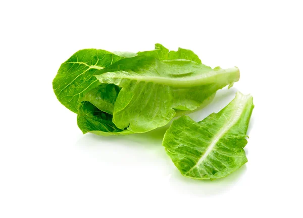 Färsk sallat isolerade på vitt. Färska gröna grönsaker. — Stockfoto