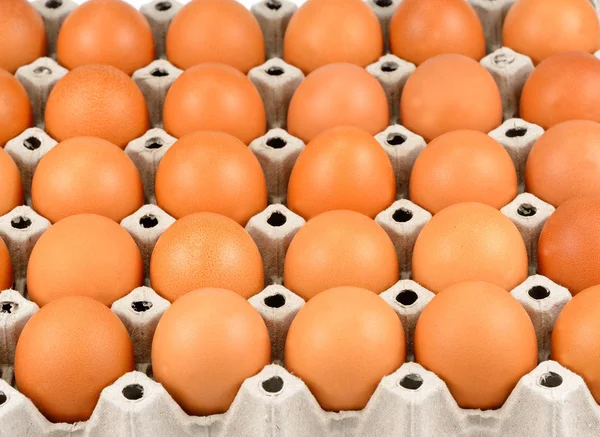 Tam tepsi ücretsiz aralığı organik yumurta, taze taze yumurta bırakırlar 