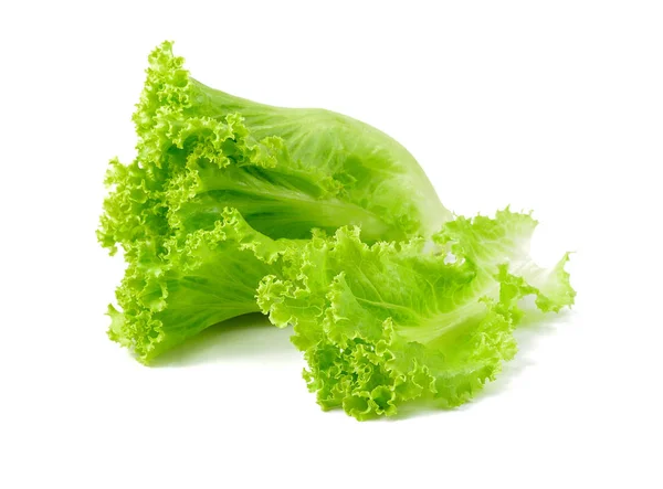 Salatblatt vorhanden. Salat isoliert auf weißem Hintergrund. — Stockfoto