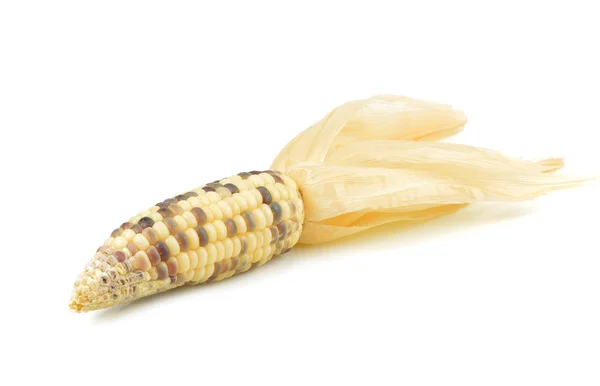 Čerstvé syrové kukuřičné klásky izolovaných na bílém pozadí — Stock fotografie