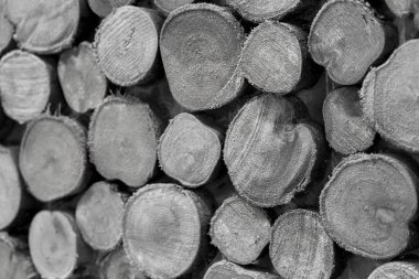 Arkaplanda odun yığını