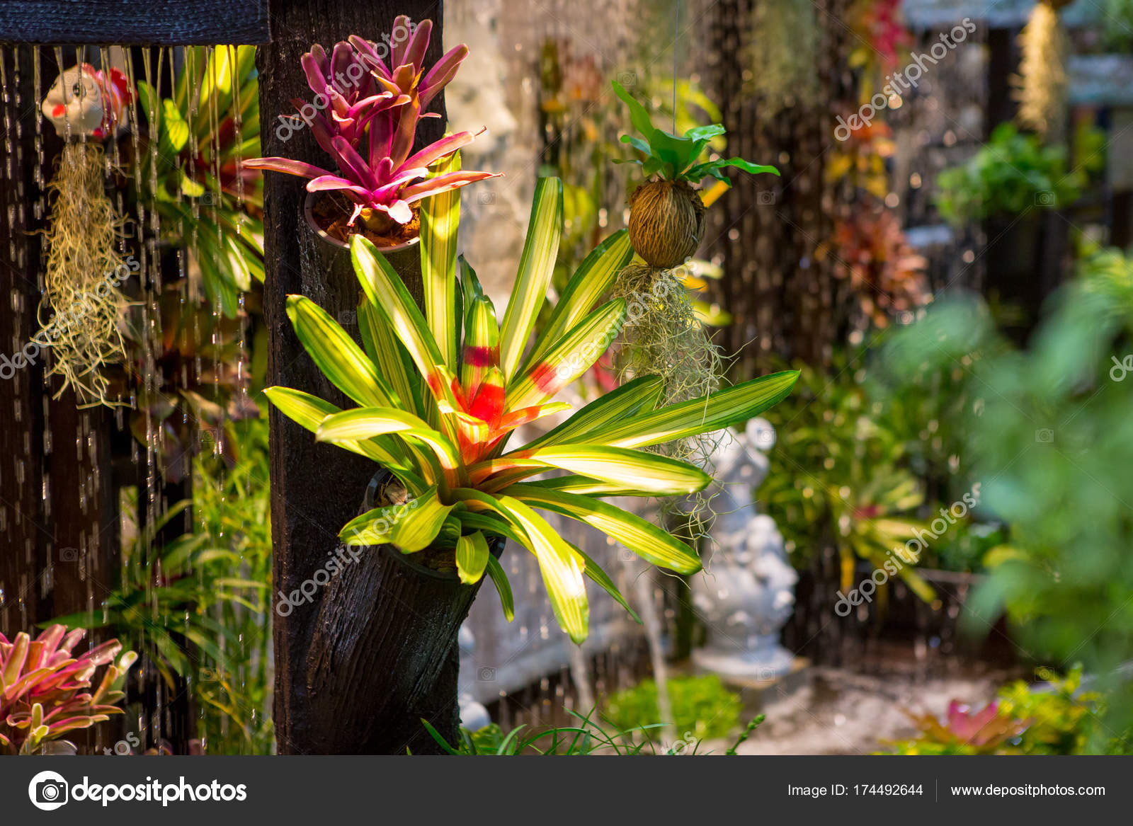 Giardini verticali a casa — foto stock © themorningstudio@gmail.com ... Giardini verticali in casa