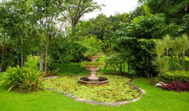 Yeşil çim ve ağaçların bir parkta