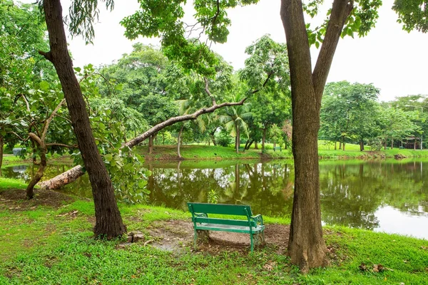 Gramado verde e árvores em um parque — Fotografia de Stock