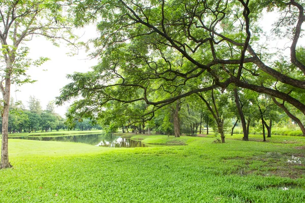 Pelouse verte et arbres dans un parc — Photo