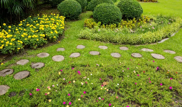 Césped verde y árboles en un parque — Foto de Stock