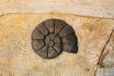 Eski duvar, çimento duvar