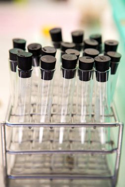 Bilim adamları kimyasal sıvı cam tüp koymak..