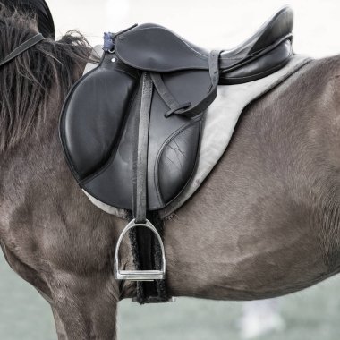 Eyer yastıkları, üzengi, saddles