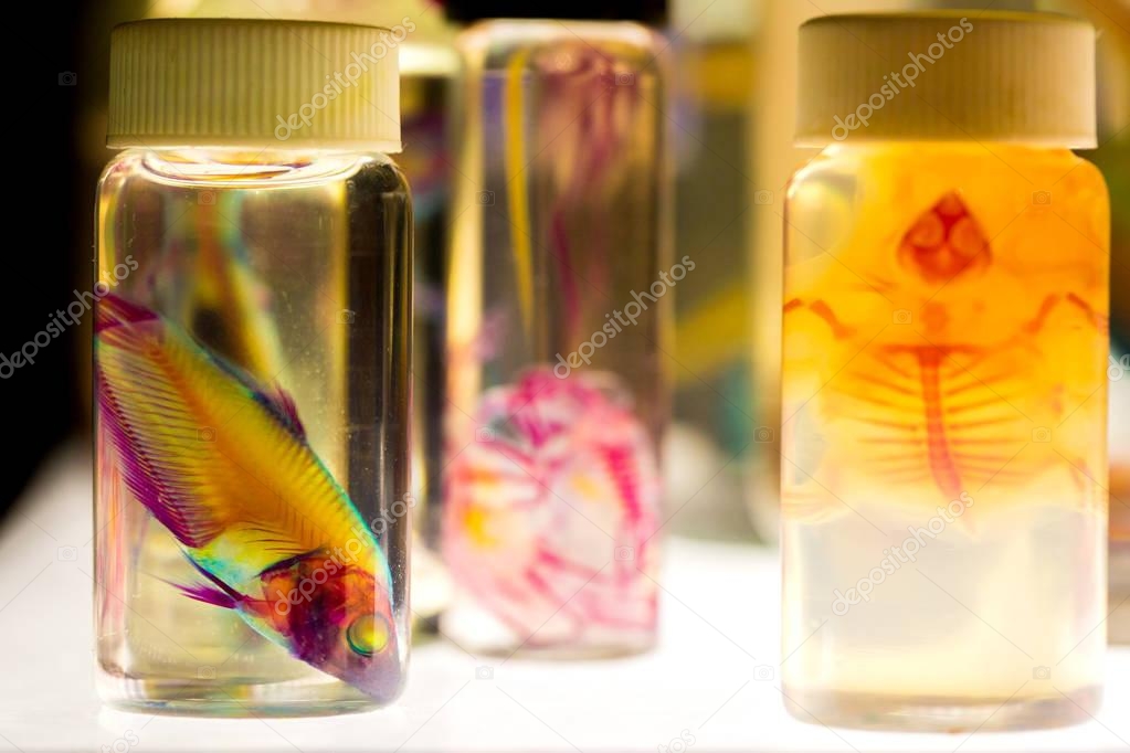Fish in Bottles for Biological Studies