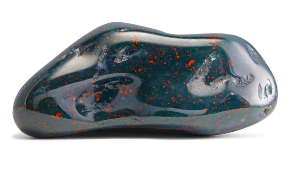 Kediotu (birtıIsım) taş üzerine beyaz - izole makro